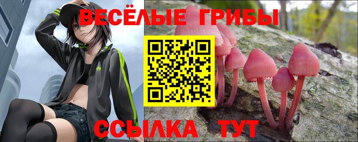 Псилоцибиновые грибы прущие грибы Изобильный